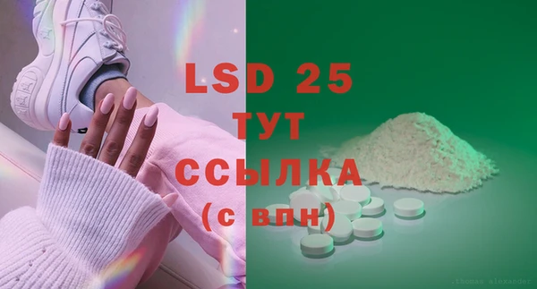 индика Бородино