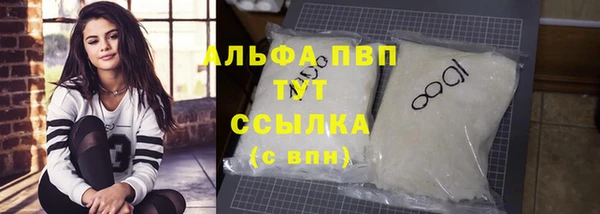 индика Бородино