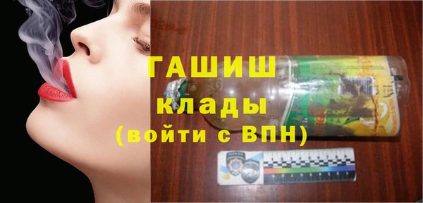 индика Бородино