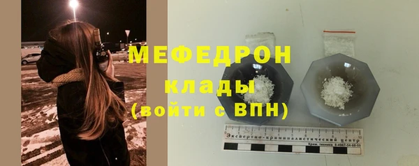 индика Бородино