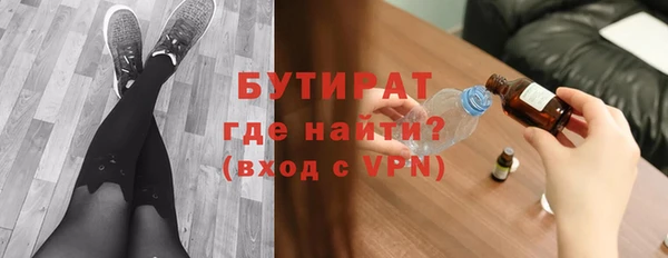 индика Бородино