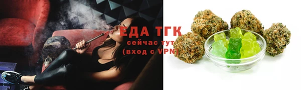 индика Бородино