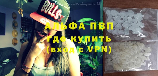 индика Бородино