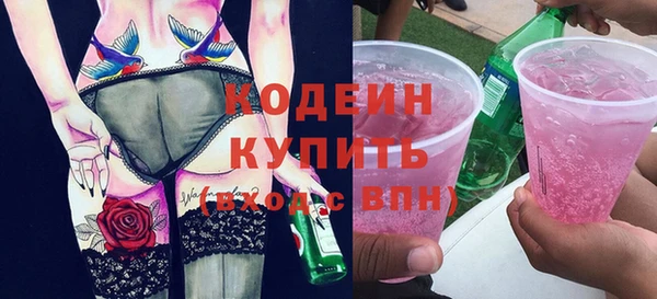 индика Бородино