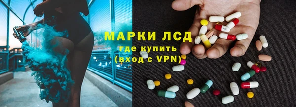 индика Бородино