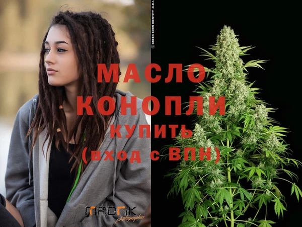 индика Бородино