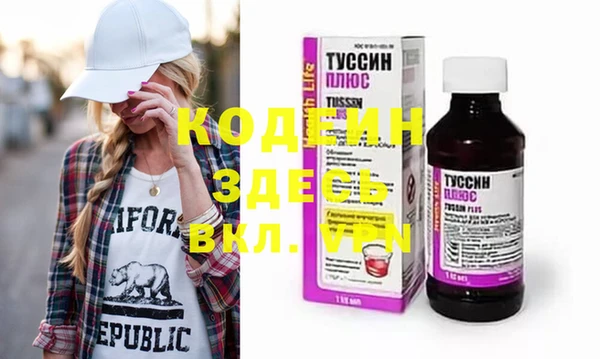 индика Бородино