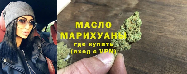 индика Бородино