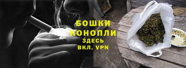 индика Бородино