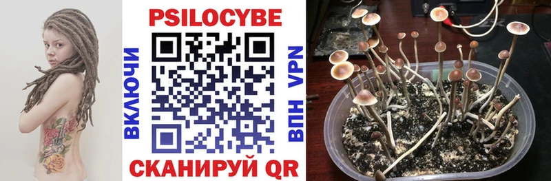 Псилоцибиновые грибы Magic Shrooms  продажа наркотиков  ОМГ ОМГ ТОР  Кириллов 